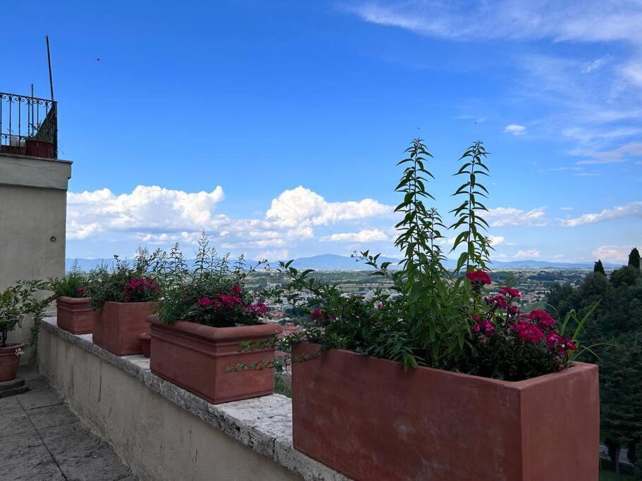 Appartamento La Terrazza Di Ciro Pinsuti Sinalunga Esterno foto